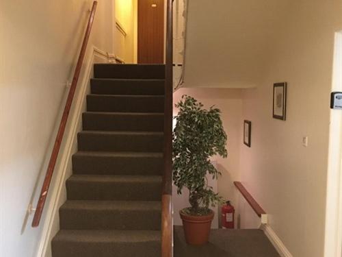 Centre Guest house 2*